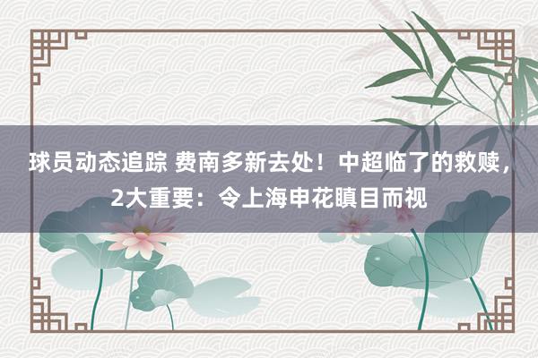 球员动态追踪 费南多新去处！中超临了的救赎，2大重要：令上海申花瞋目而视