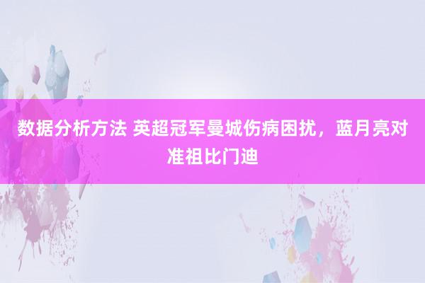 数据分析方法 英超冠军曼城伤病困扰，蓝月亮对准祖比门迪