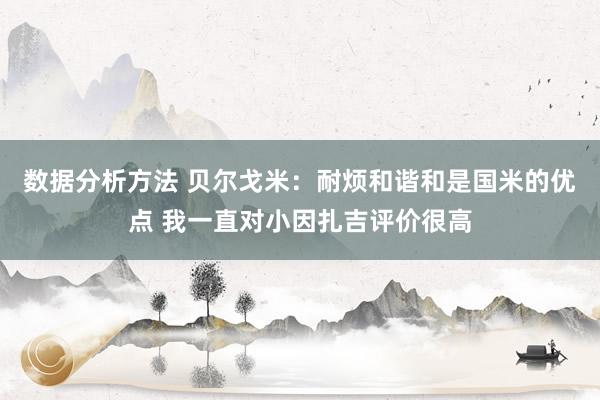 数据分析方法 贝尔戈米：耐烦和谐和是国米的优点 我一直对小因扎吉评价很高