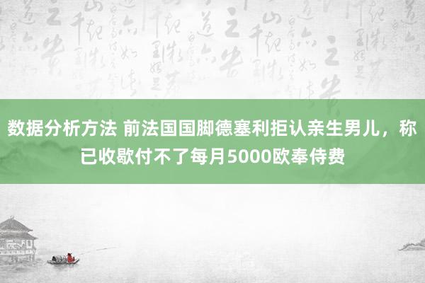 数据分析方法 前法国国脚德塞利拒认亲生男儿，称已收歇付不了每月5000欧奉侍费