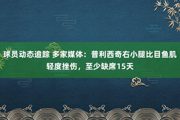 球员动态追踪 多家媒体：普利西奇右小腿比目鱼肌轻度挫伤，至少缺席15天