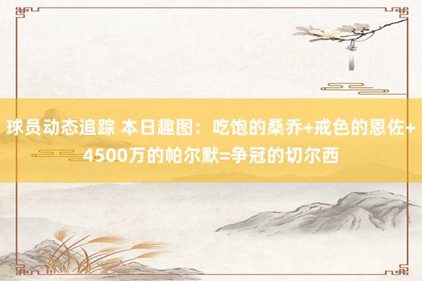 球员动态追踪 本日趣图：吃饱的桑乔+戒色的恩佐+4500万的帕尔默=争冠的切尔西