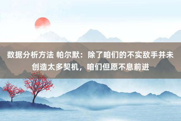 数据分析方法 帕尔默：除了咱们的不实敌手并未创造太多契机，咱们但愿不息前进