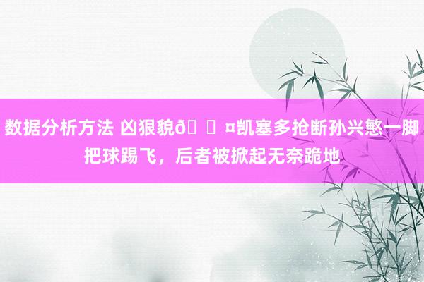 数据分析方法 凶狠貌😤凯塞多抢断孙兴慜一脚把球踢飞，后者被掀起无奈跪地