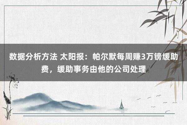 数据分析方法 太阳报：帕尔默每周赚3万镑缓助费，缓助事务由他的公司处理