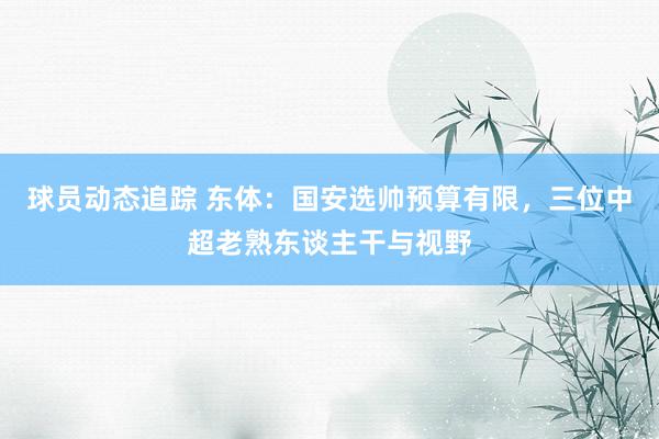 球员动态追踪 东体：国安选帅预算有限，三位中超老熟东谈主干与视野