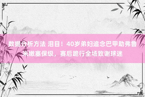 数据分析方法 泪目！40岁弟妇追念巴甲助弗鲁米嫩塞保级，赛后跪行全场致谢球迷