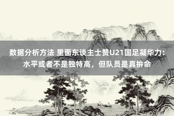 数据分析方法 里面东谈主士赞U21国足凝华力：水平或者不是独特高，但队员是真拚命