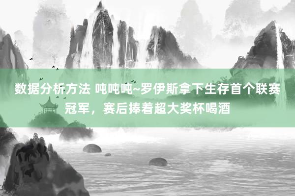 数据分析方法 吨吨吨~罗伊斯拿下生存首个联赛冠军，赛后捧着超大奖杯喝酒