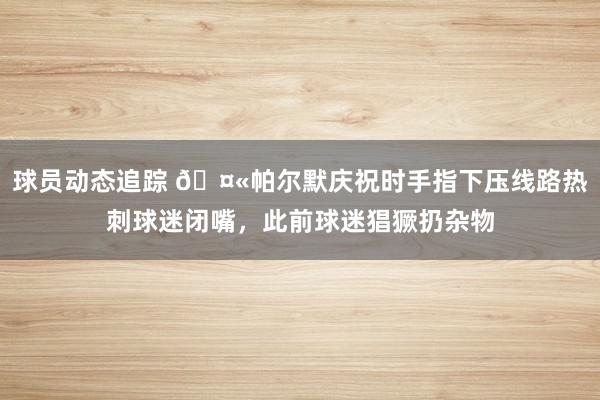 球员动态追踪 🤫帕尔默庆祝时手指下压线路热刺球迷闭嘴，此前球迷猖獗扔杂物