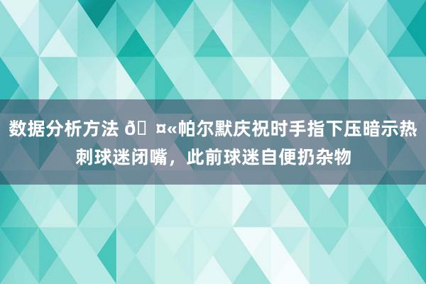 数据分析方法 🤫帕尔默庆祝时手指下压暗示热刺球迷闭嘴，此前球迷自便扔杂物