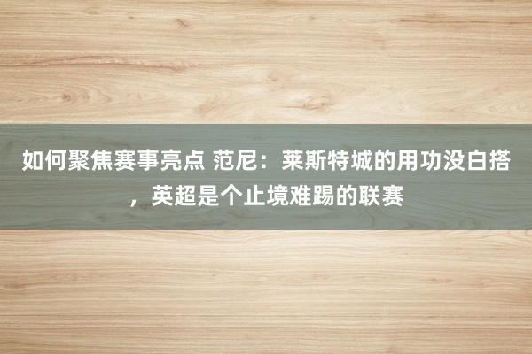 如何聚焦赛事亮点 范尼：莱斯特城的用功没白搭，英超是个止境难踢的联赛