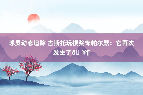 球员动态追踪 古斯托玩梗奖饰帕尔默：它再次发生了🥶