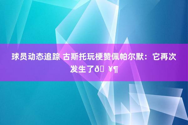 球员动态追踪 古斯托玩梗赞佩帕尔默：它再次发生了🥶