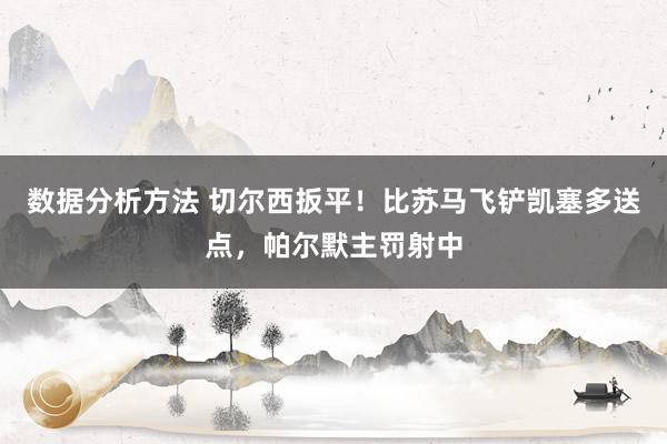 数据分析方法 切尔西扳平！比苏马飞铲凯塞多送点，帕尔默主罚射中