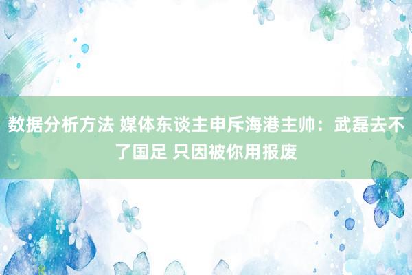 数据分析方法 媒体东谈主申斥海港主帅：武磊去不了国足 只因被你用报废